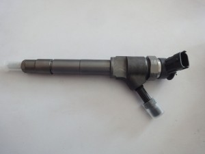 0445110250 BOSCH COMMON RAIL INJECTOR