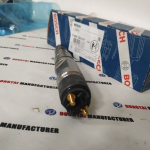 Common Rail Injector 0 445 120 217  for Man