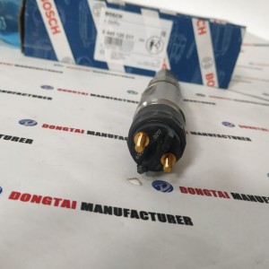 Common Rail Injector 0 445 120 217  for Man