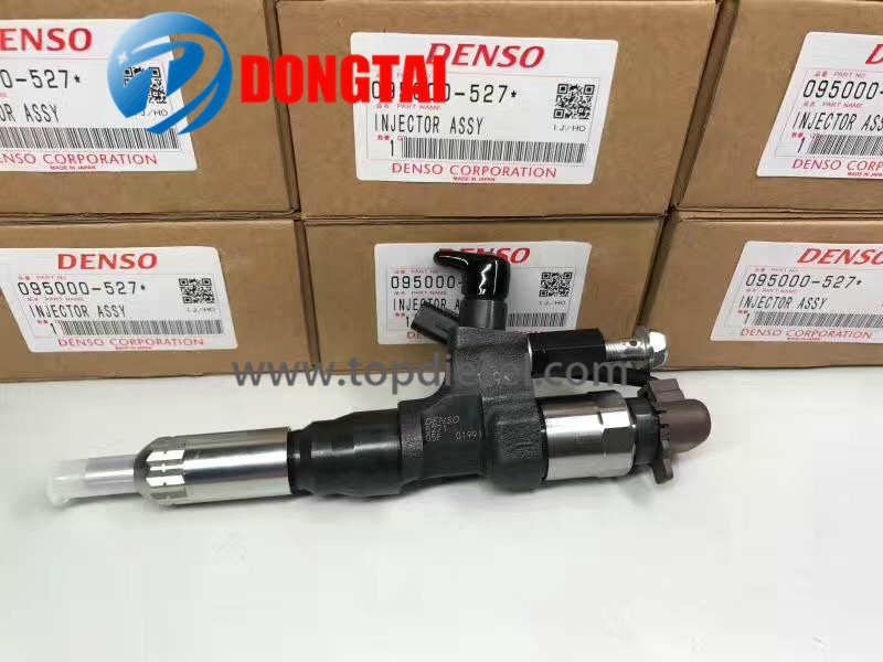 Special Design for Fuel Injection System - 095000-5270 – Dongtai