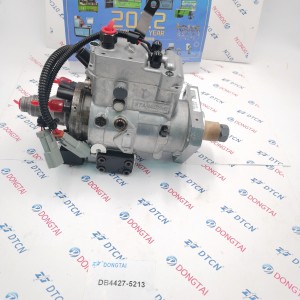 Factory Cheap Hot Injector Fuel Crane - DELPHI Injection pump DB4427-5213  9237175  – Dongtai