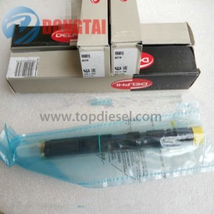 EJBR05001D DELPHI CR INJECTOR