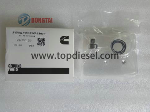 New Arrival China Cummins Injector Test Bench - No,109(3) CUMMINS ISG Injector Valve Set 5473013D – Dongtai