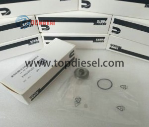 18 Years Factory Water Meter Test Equipment -
 NO,109(4) America Cummins Valve Sets Z4954954D – Dongtai
