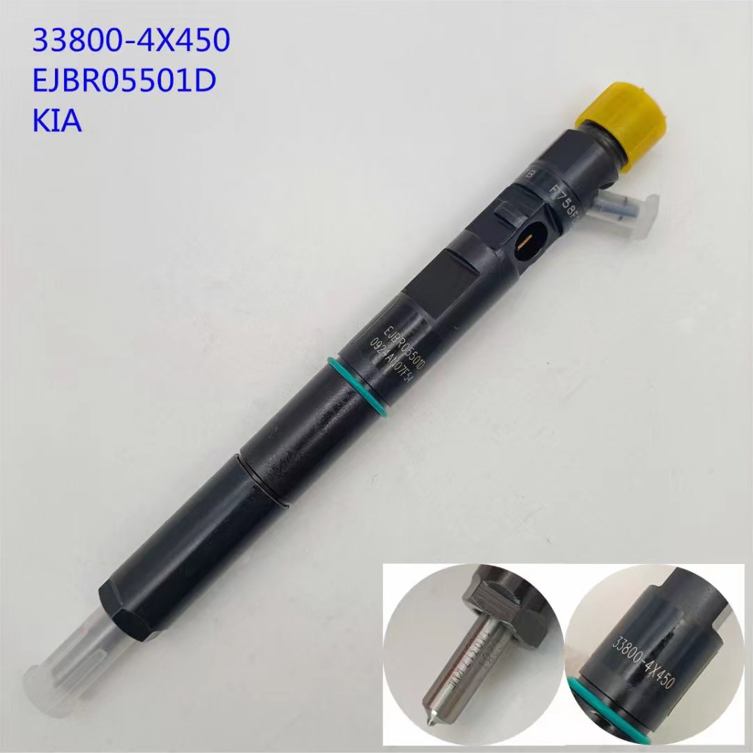 factory Outlets for F00gx17004 - Delphi Ejbr05501d CRDi Diesel Fuel Injector 33800 4×450 for Bongo III – Dongtai