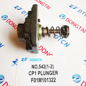 NO.542(1-2) CP1 Plunger  F01M101322