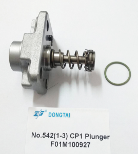 NO.542(1-3) CP1 Plunger F01M 100 927