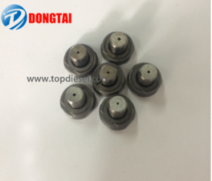 1W6987  DELIVERY VALVE