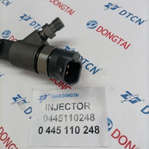 Common Rail Fuel Injector 0445110248，0 445 110 248 For IVECO 504088823  MADE IN CHINA