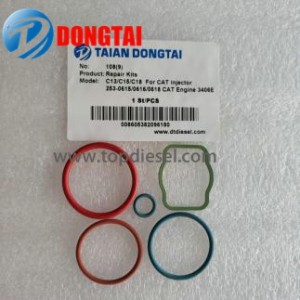 No,108(2-2)：C13/C15/C18 Repair Kits For CAT Injector 253-0615 /0616 /0618 CAT Engine 3406E