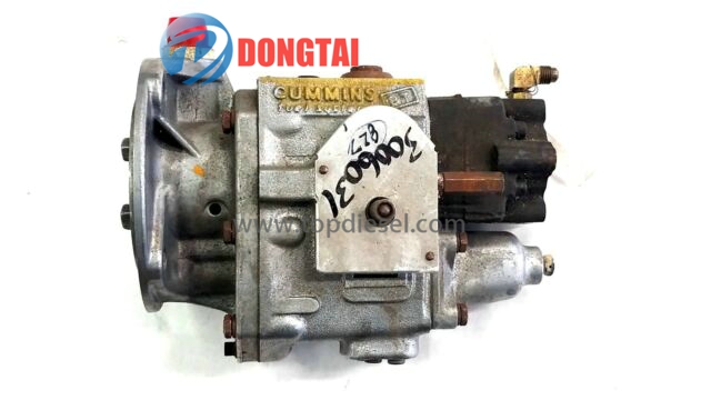 Manufactur standard Bosch Nozzle - 3006031 – Dongtai