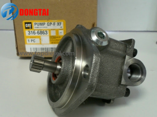 Manufacturer ofElectric Water Pumps - 316-6863 CAT Pump – Dongtai