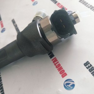 Original Common Rail Diesel Fuel Injector 0445110738,0 445 110 738 for JAC