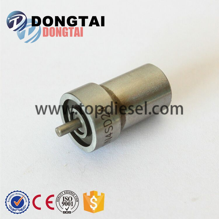 2017 High quality Plungerelement Ad Type - Nozzle DN.SD Type – Dongtai