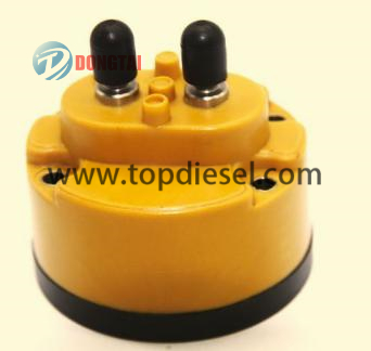 factory low price Worm Gear System Tester - No,528（2）CAT Solenoid Valve For C11, C12, C13, C15, C18 Injector – Dongtai