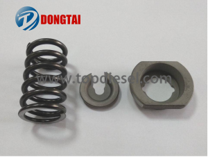 No,541(2) HP0 Pump Spring With Seat 
