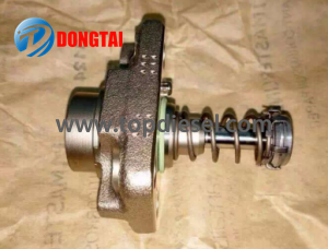 OEM/ODM China Pt Cummins Test Bench - No,542（1)CP1 Plunger F01M101781 – Dongtai