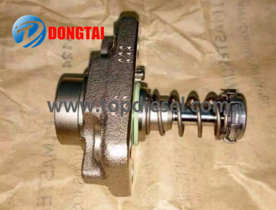 Competitive Price for Denso Valve - No,542（1)CP1 Plunger F01M101781 – Dongtai