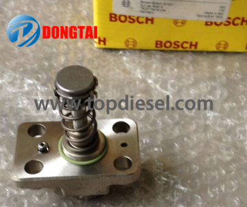 OEM Customized Heui Injector - No,542（2） CP1 Plunger F 01M 100869 – Dongtai