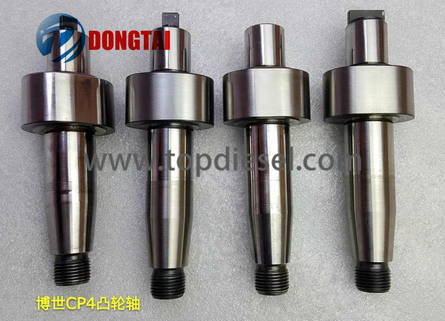 Super Lowest Price Control Valve - No,543(7)：CP4 Camshaft  – Dongtai