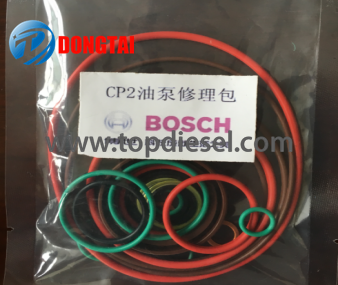 Factory Free sample Fuel Injection Rubber - No,559(1) CP2.2 Repair Kits  – Dongtai