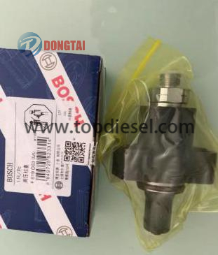 China wholesale F00vc17505 - No,583(4) Renault 2H PLUNGER – Dongtai