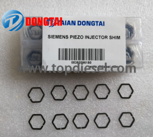 2017 Latest DesignPump Rotating Tools(For Cp1, Cp3 Pump) - No,592（5）Siemens injector shim 0.965-1.010  – Dongtai