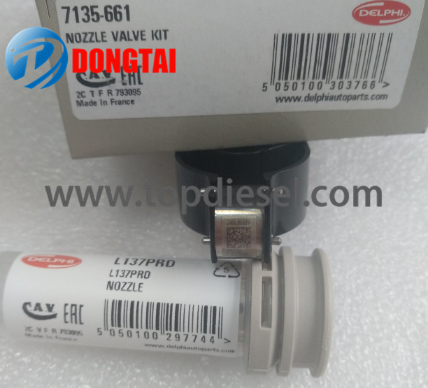 OEM manufacturer Cat Injector - No.606(3) DELPHI original repair kits 7135-661 – Dongtai