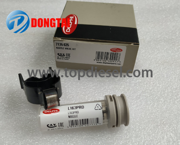 High definition Heui Oil Pump Shaft - No,608（2）Genuine  CVA kits 7135-625 – Dongtai
