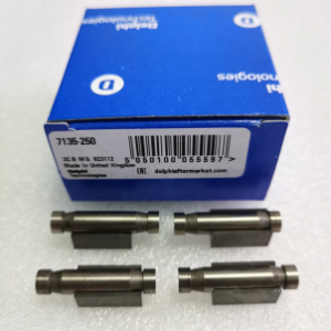 NO.615(6) Delphi Repair Kit Roller And Shoe Kit 7135-250 for DP200 Pump (4 Off Roller And Shoe Assy 7185-147)
