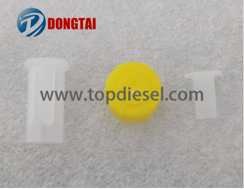 Hot Sale for Manual Bilge Pump - No,620 DELPHI Common Rail Injector Plastic protection cap for EJBR03301D5301D – Dongtai