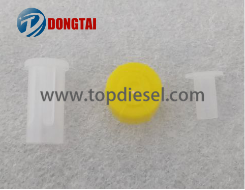 Renewable Design for Dt D2 Turbocharger Balance Machine - NO.620(1) DELPHI Common Rail Injector Plastic protection cap for EJBR03301D5301D – Dongtai