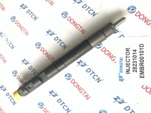 DELPHI Common Rail Injector 28231014 For Great Wall Hover H6 1100100-ED01