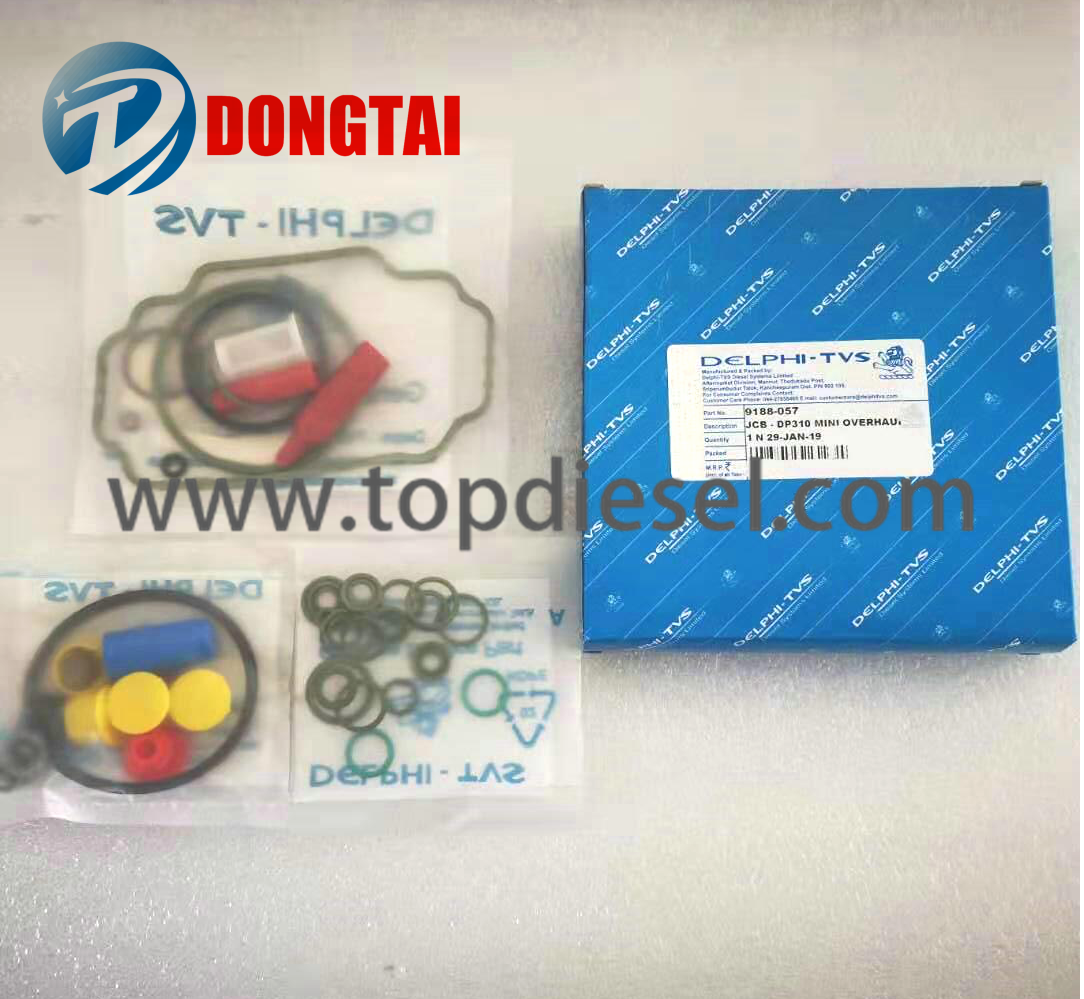 Wholesale Price Bosch - No,624 JCB – DP310 MINI OVER HAUL KIT 9188-057  – Dongtai
