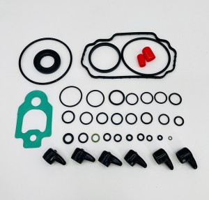 NO.624(7)  320D2 DELPHI Pump  Repair Kits 7135-277S 