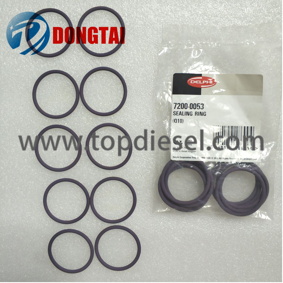 Renewable Design for Hydraulic Piston Pump Test Bench - No,634(1)ORIGINAL DELPHI  INJECTOR SEALING RING 7200-0053 – Dongtai