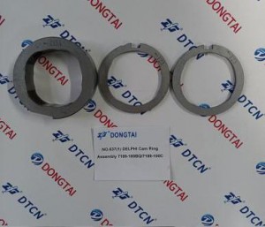 NO.637(1) DELPHI Cam Ring Assembly 7189-100BQ/7189-100C