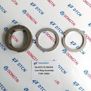 NO.637(13) DELPHI Cam  Ring Assembly 7189-100DJ  