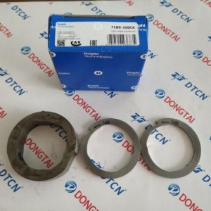 NO.637(5) DELPHI Cam Ring  Assembly 7189-100CK