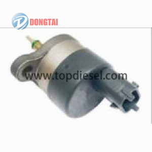 Fuel Pressure Regulator (DRV)