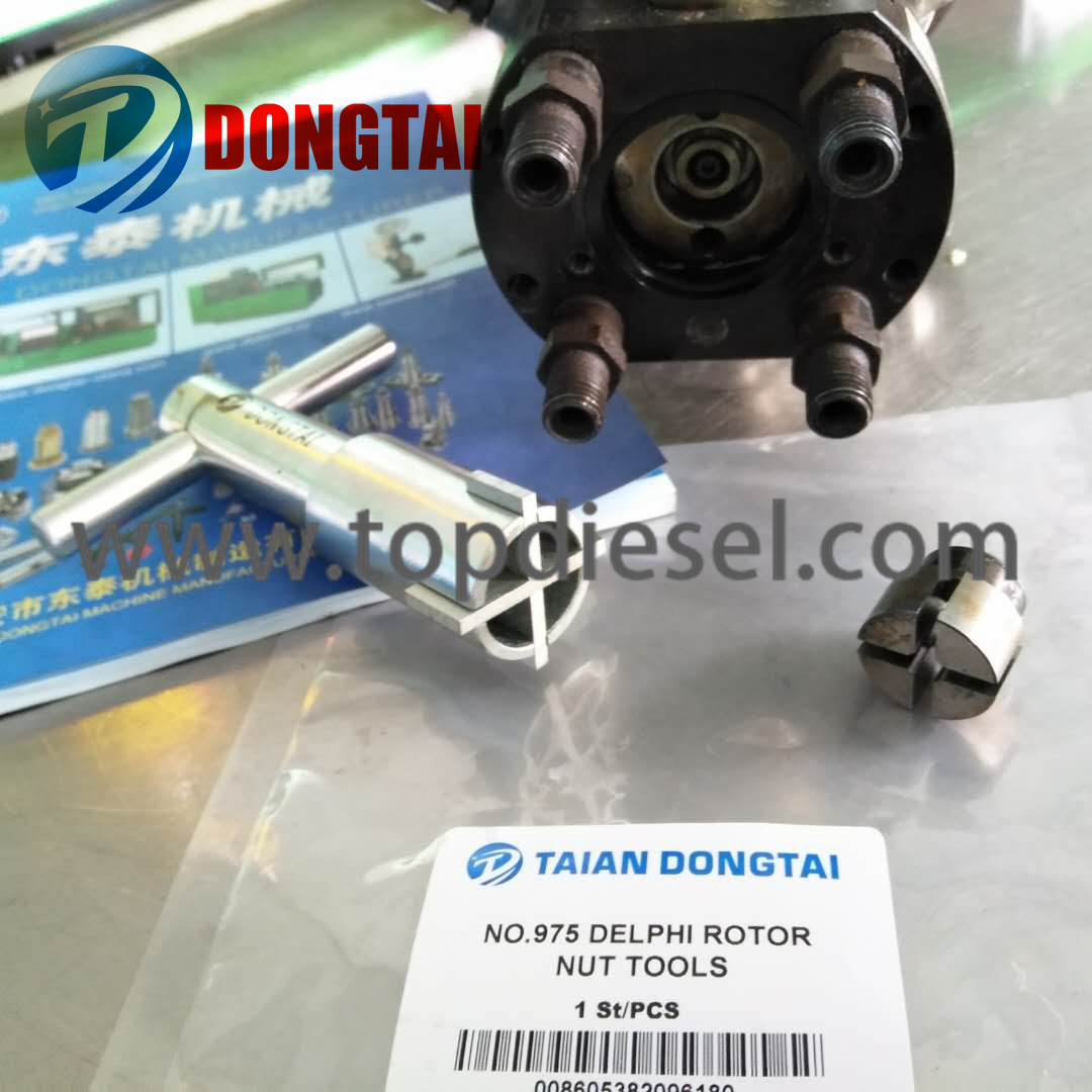 Chinese Professional Cummins Isg Residual Air Gap Measurement Tools - NO.975 DELPHI ROTOR NUT TOOLS – Dongtai