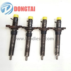 EJBR00203D  DELPHI COMMON RAIL INJECTOR