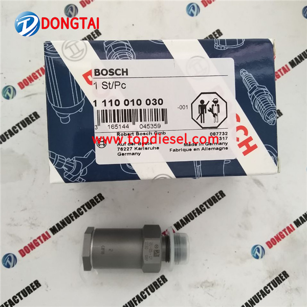 Bosch pressure limiting valve 1110010030