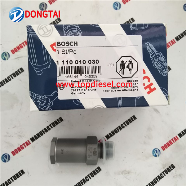 Manufactur standard Hydaulic Piston Parts - Bosch pressure limiting valve 1110010030 – Dongtai