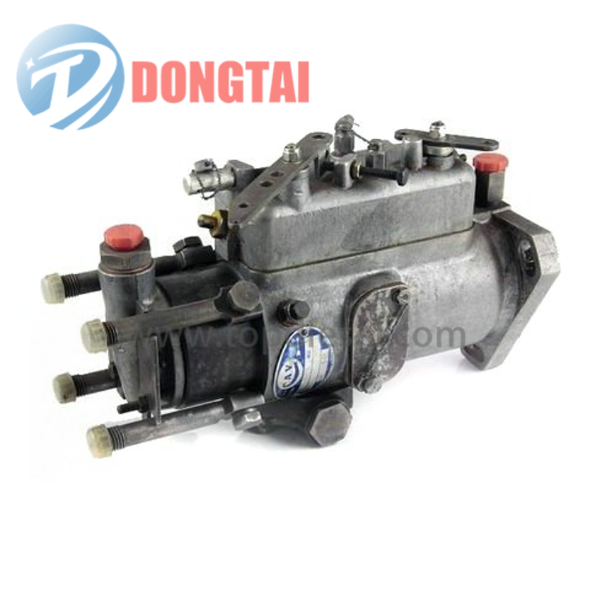 Factory Outlets Cb18 Pump Plunger - 3062F512 – Dongtai