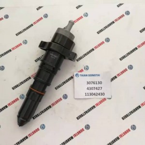 Cummins Diesel Fuel Injector 3076130/4307427/113042430 For Cummins KTA19 Engine