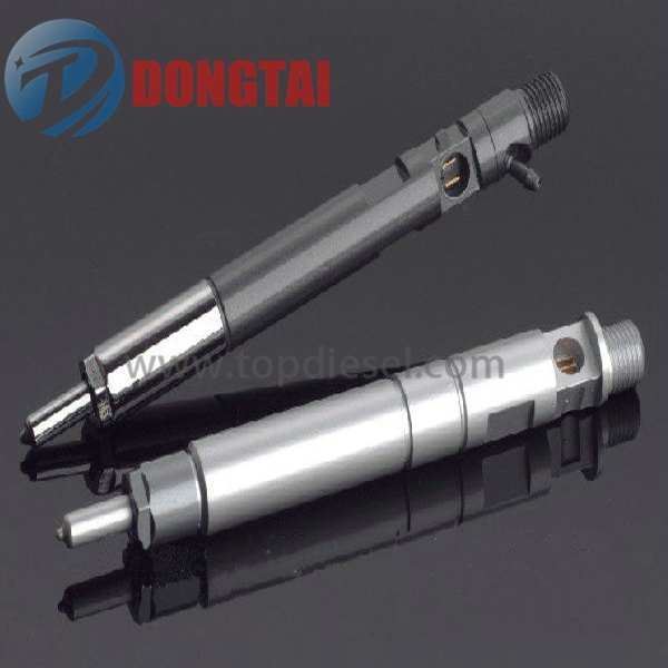 New Delivery for Electronic Fuel Injector - 7210-0389 – Dongtai