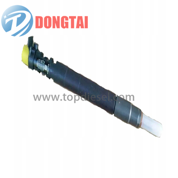 Factory wholesale Measuring Tools Of Valve Assembly - EJBR06001D DELPHI CR INJECTOR  – Dongtai