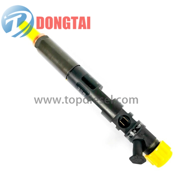 Hot New Products Cambox - EJBR01101Z  DELPHI COMMON RAIL INJECTOR  – Dongtai