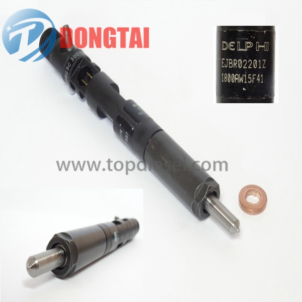 OEM/ODM Supplier F800 F1000 F1300 F1600 Mud Pump Valve - EJBR02201Z  DELPHI COMMON RAIL INJECTOR – Dongtai